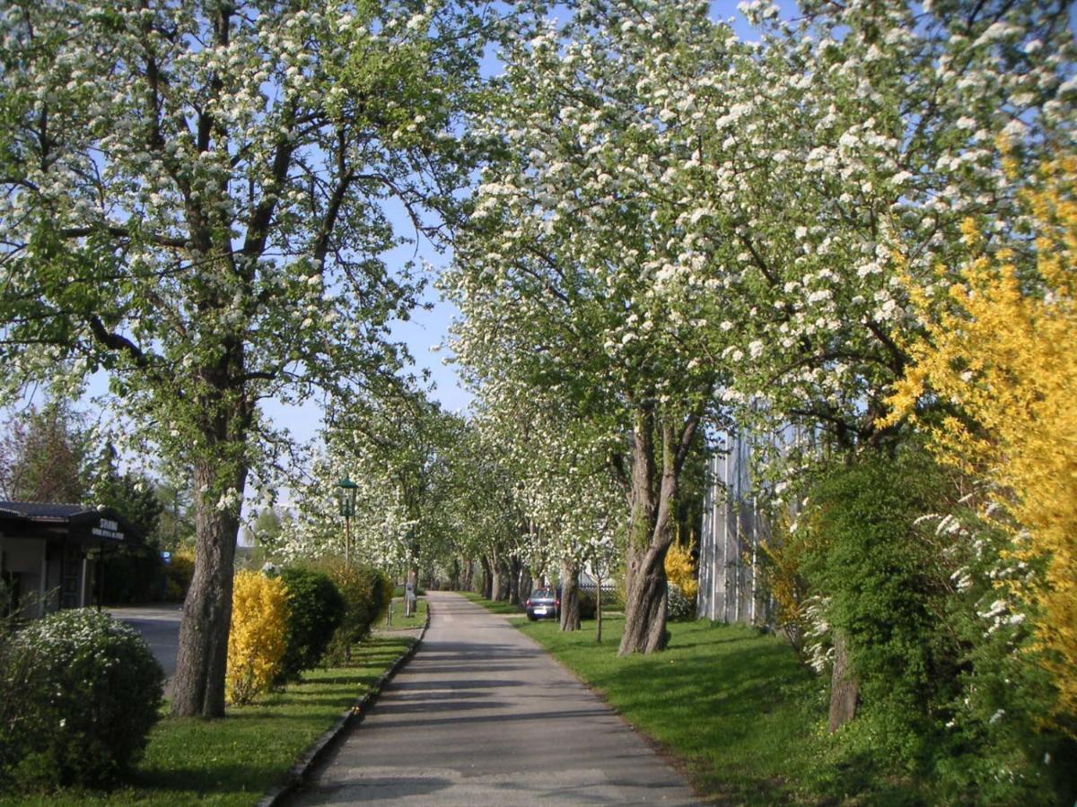 Ferien-Garconniere Hemetsberger Weyregg Exterior foto